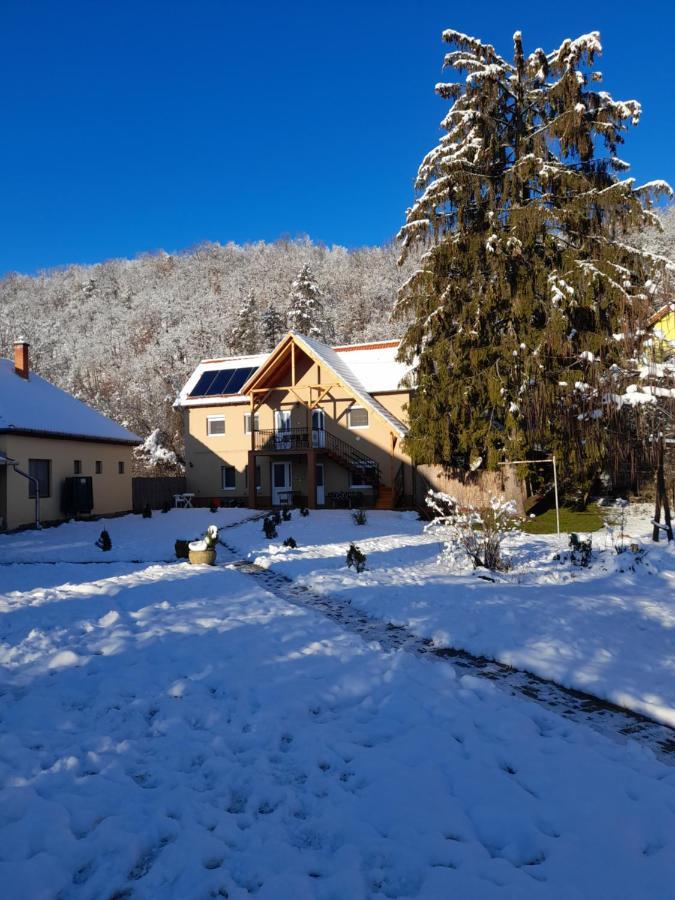 Fonagy Apartmanok Nagyvisnyó Exterior foto